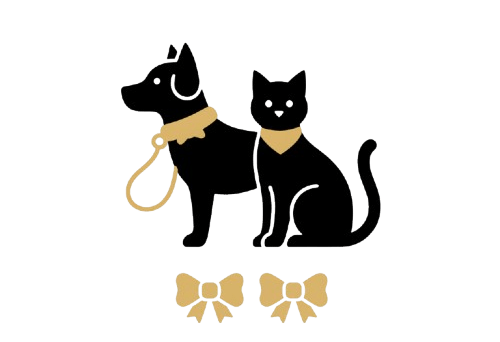 pet accessories icon color c8a067 d89b6e94 removebg preview e1780085507673