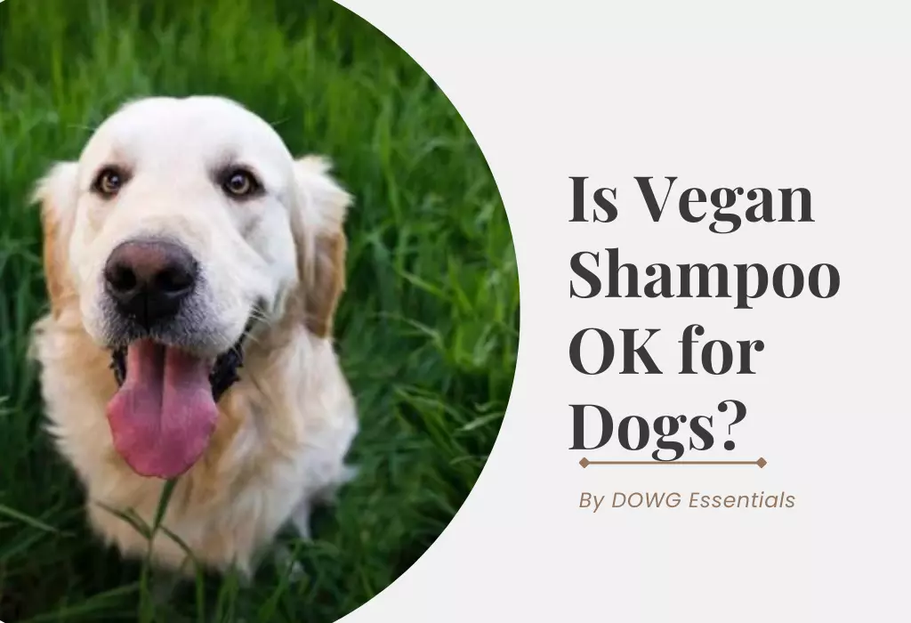 Is Vegan Shampoo OK for Dogs