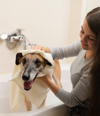 Benefits of Using Vegan Dog Conditioners