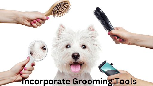 Incorporate cat Grooming Tools