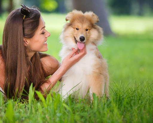 Benefits of Dogs Cologne for travel
