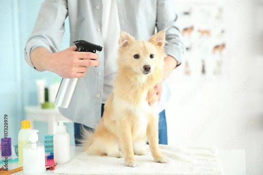 importance of using pet cologne